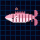 Blossom Sakura Fantail Guppy #6809
