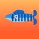 Anime Ocean Fantail Guppy #8793
