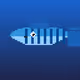 Ocean Swordtail Guppy #9251