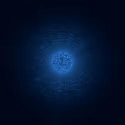 491