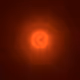224