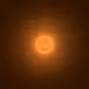 264