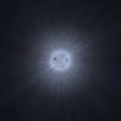 559
