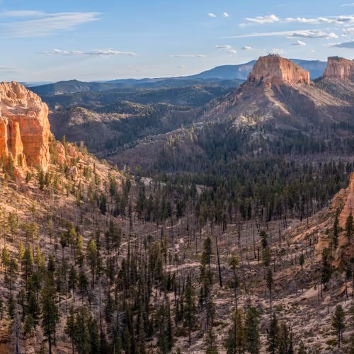 0x8a68da9482d444bf3fd6567b6969cb3a96dbba9c