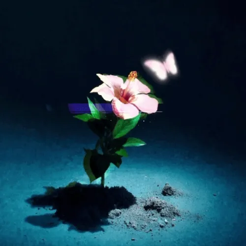 flower of life