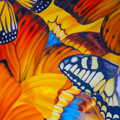 Butterfly Effect Lrh5waivfi