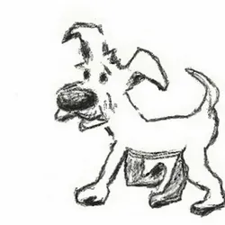 Scrappy on a walk.