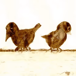 Two Little Birds