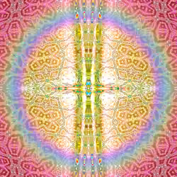 Chrysanthemum #12