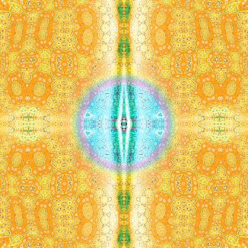 Chrysanthemum #15