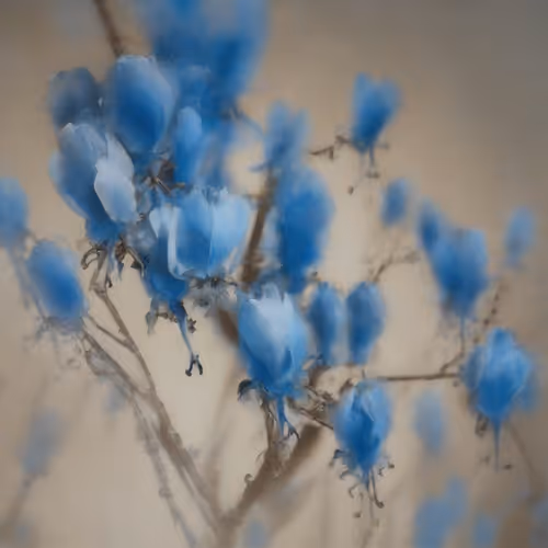 Bleu 12