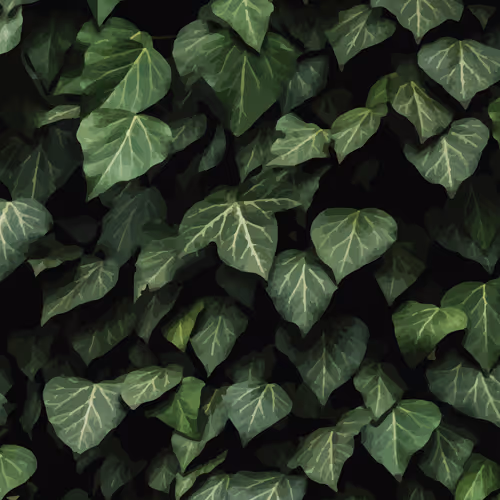0xminimalismblond