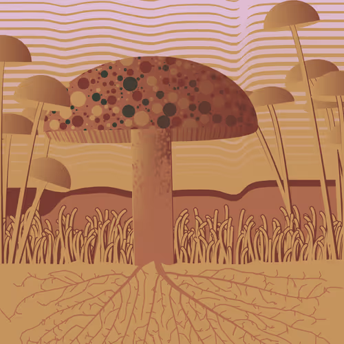 Dirt Founder