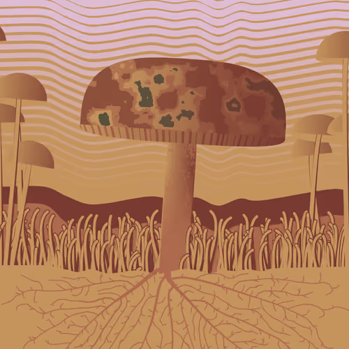 Dirt Founder #194