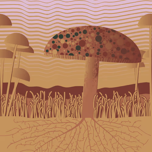 Dirt Founder