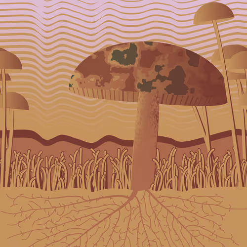 Dirt Founder