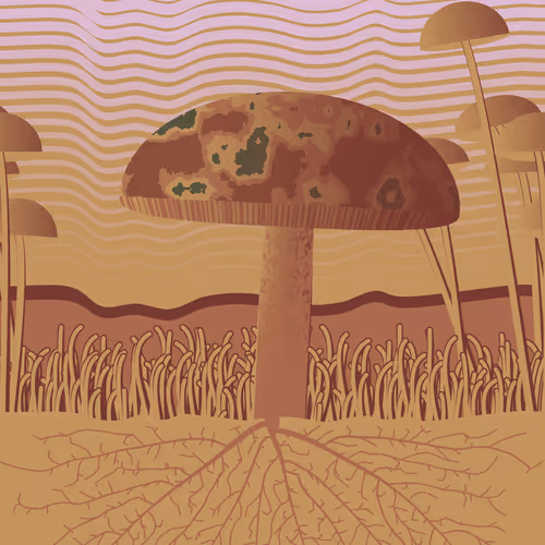 Dirt Founder
