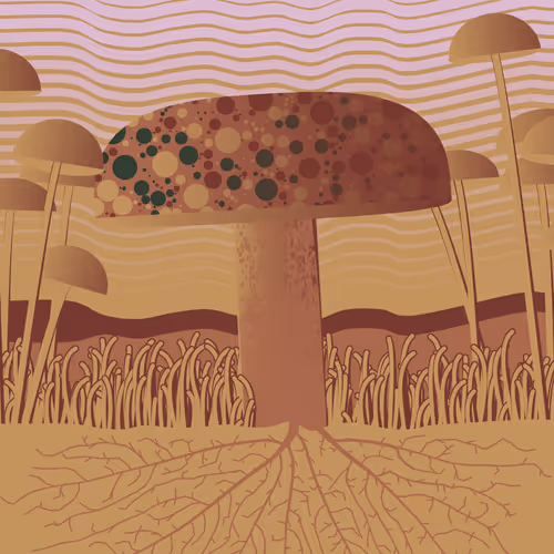 Dirt Founder
