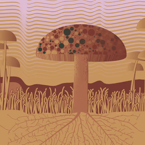 Dirt Founder