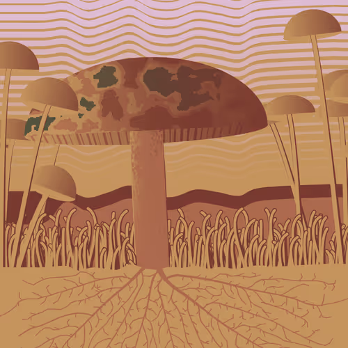 Dirt Founder