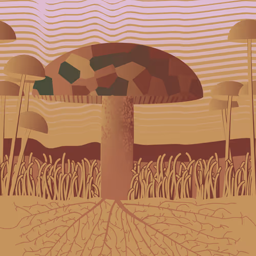 Dirt Founder