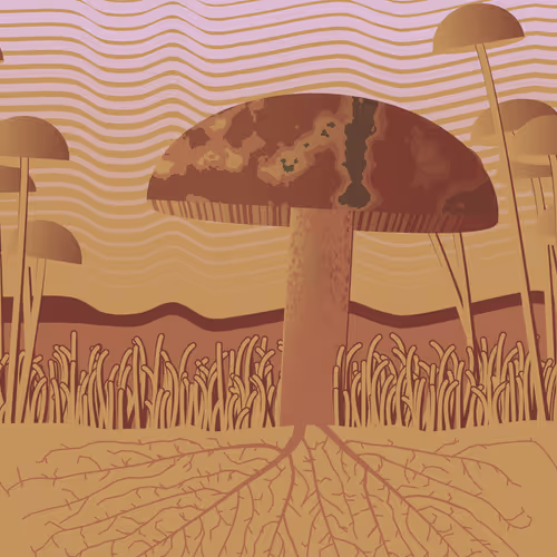 Dirt Founder