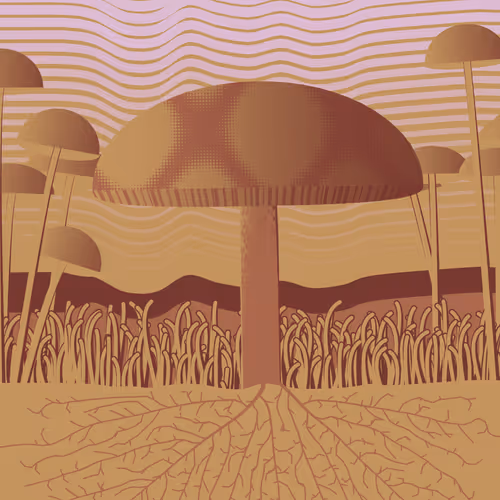 Dirt Founder