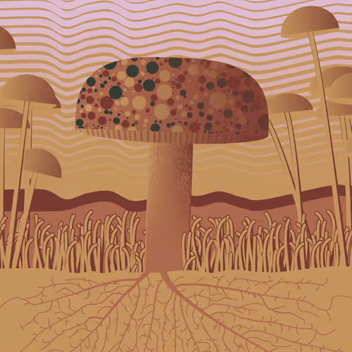 Dirt Founder