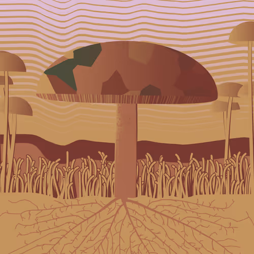 Dirt Founder