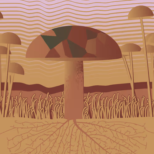 Dirt Founder