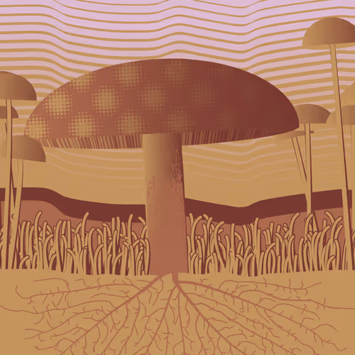 Dirt Founder