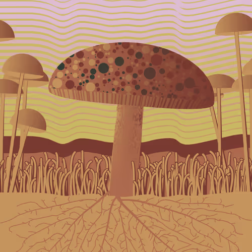 Dirt Founder