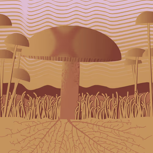 Dirt Founder