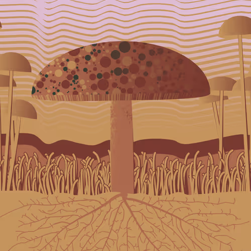 Dirt Founder