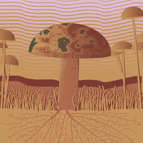 Dirt Founder