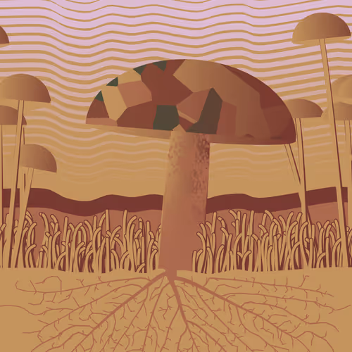 Dirt Founder