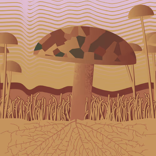 Dirt Founder