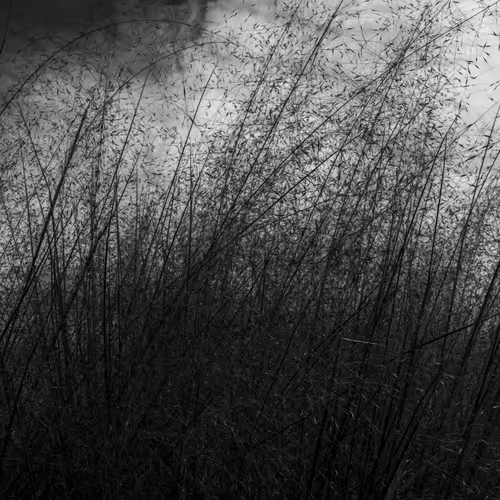 The Gothic Side Of Nature