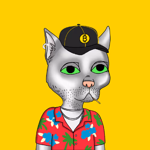 0xgcgang Misfits