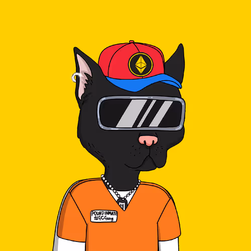 0xgcgang Misfits