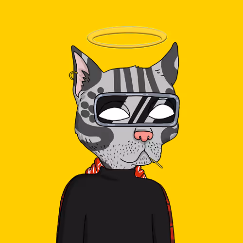 0xgcgang Misfits