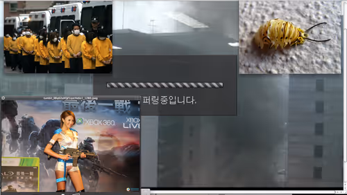 Item #23 Media