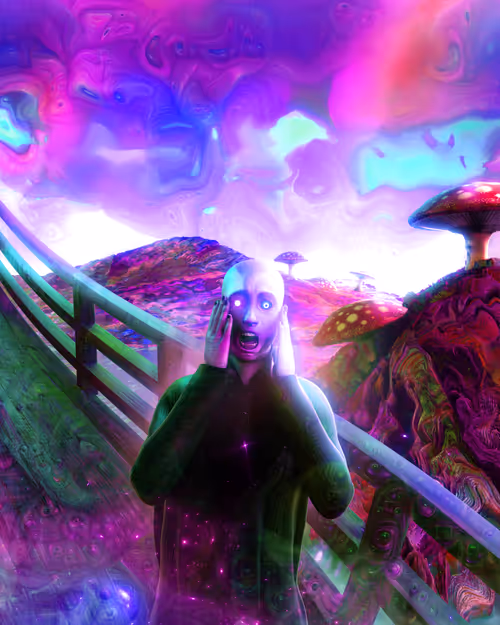 Item #6500040004 Media