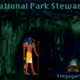 MUSEdao National Park Steward