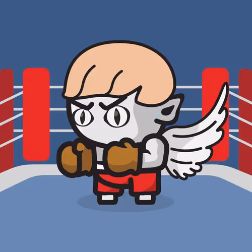 Boxrzcollection
