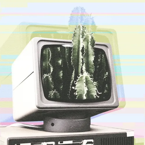 The Digital Desert