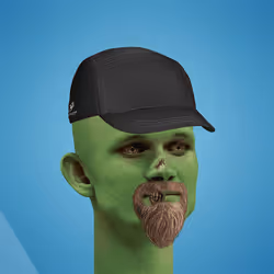 RealCryptoPunk #1199