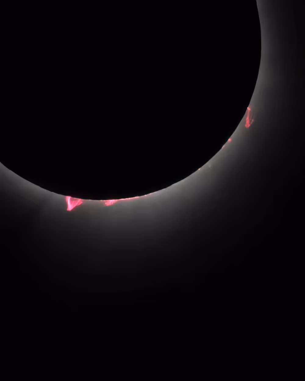 The Dark Lord