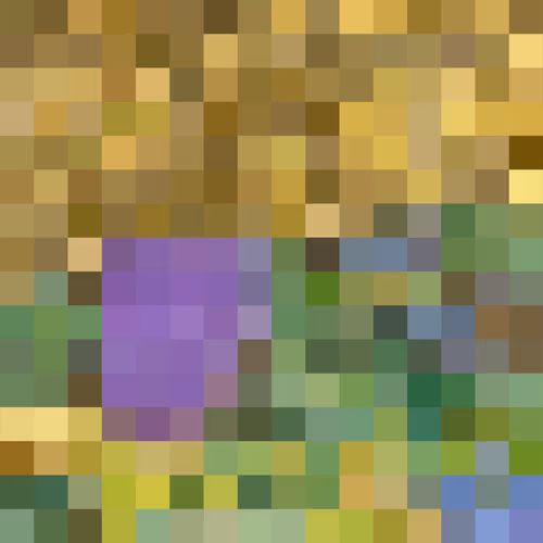 Goldrain By Anon