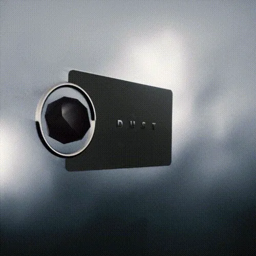 Dust Ancient Chip